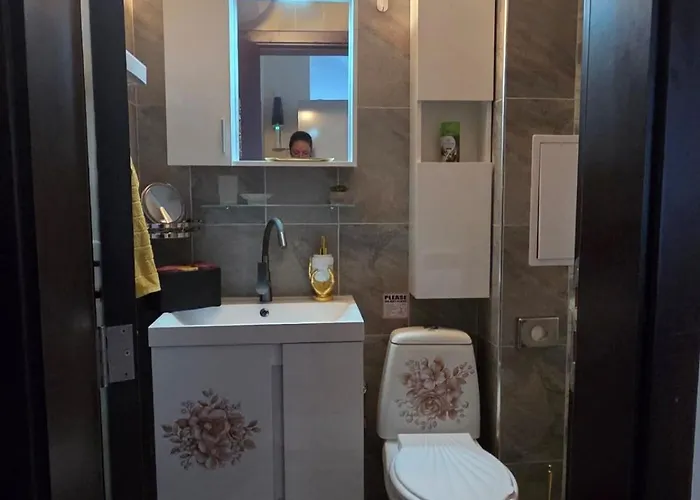 аppartment Dreams アパート *